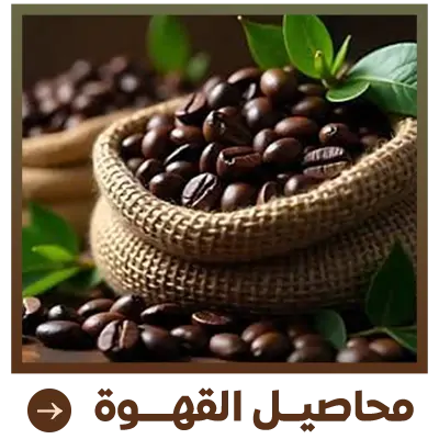 collection-img